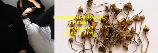 кокс Алексин