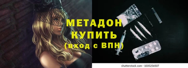 apvp Алзамай