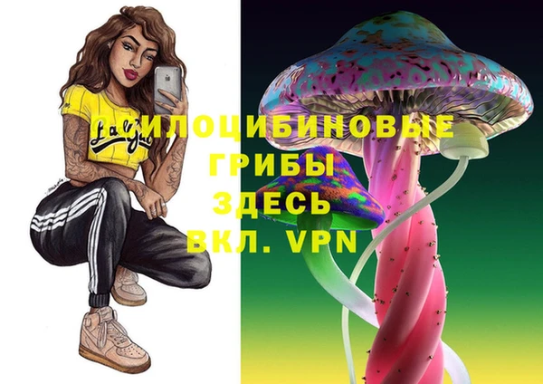 apvp Алзамай