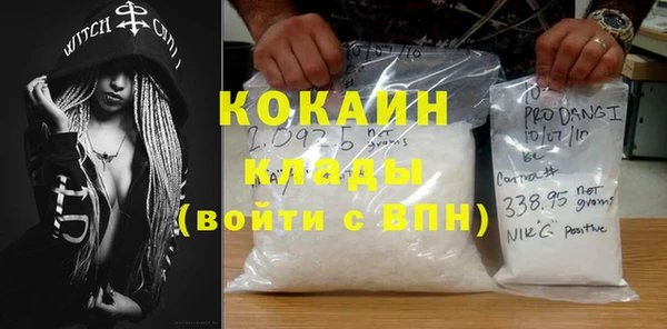 кокс Алексин